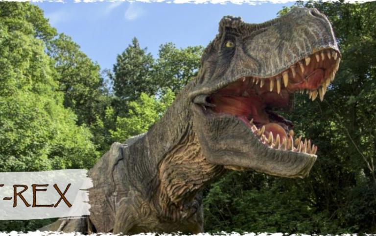 Combe Martin wildlife park