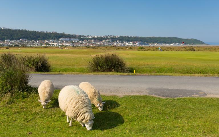 Royal North Devon Golf Course