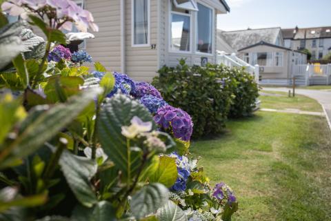 Beautiful landscaping at Surf Bay Holiday Park