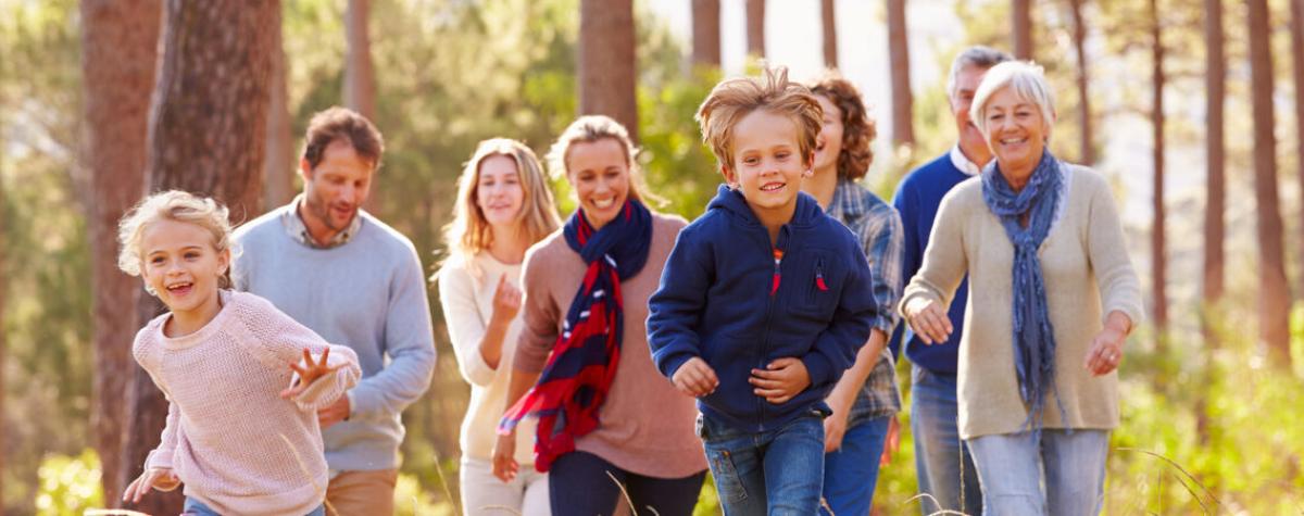 Family walking in the woods