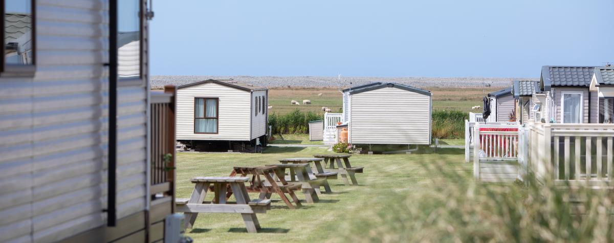 Caravans at Surf Bay Holiday Park