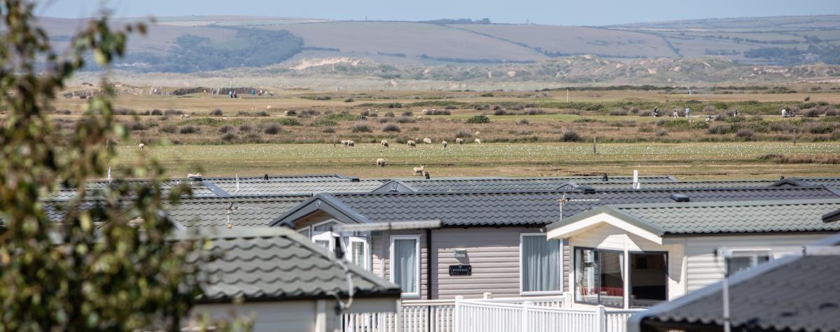 Holiday caravans at Surf Bay 