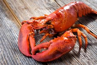 A lobster