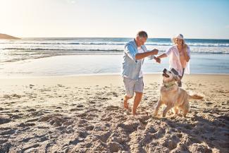 couple on beach with dog